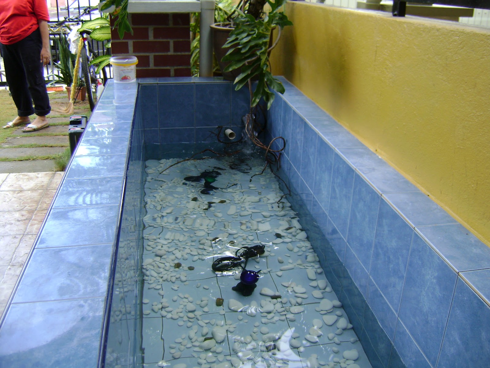 koi-pond-builders-sydney-9.jpg