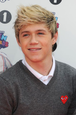 NIALL HORAN HAIRSTYLE