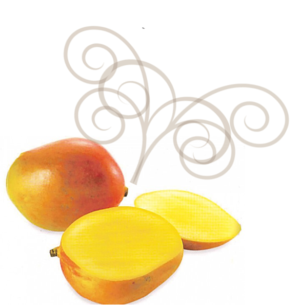 shampoo smell of Mango