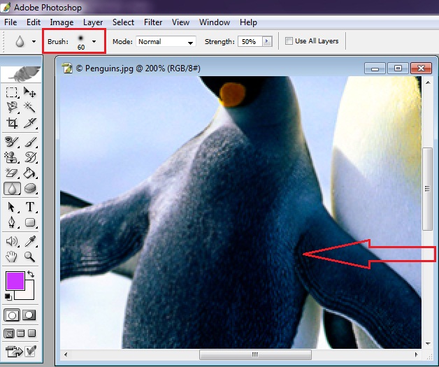 paint.net blur smudge tool paint.net blur smudge tool