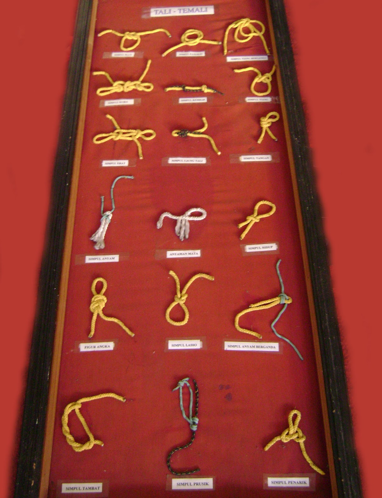 Tali dan Simpul ~ Pramuka Dapat Apa