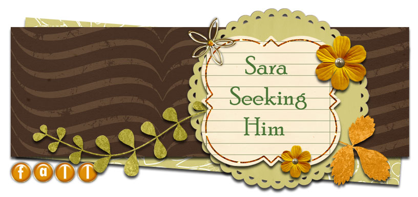 Sara Seeking Him