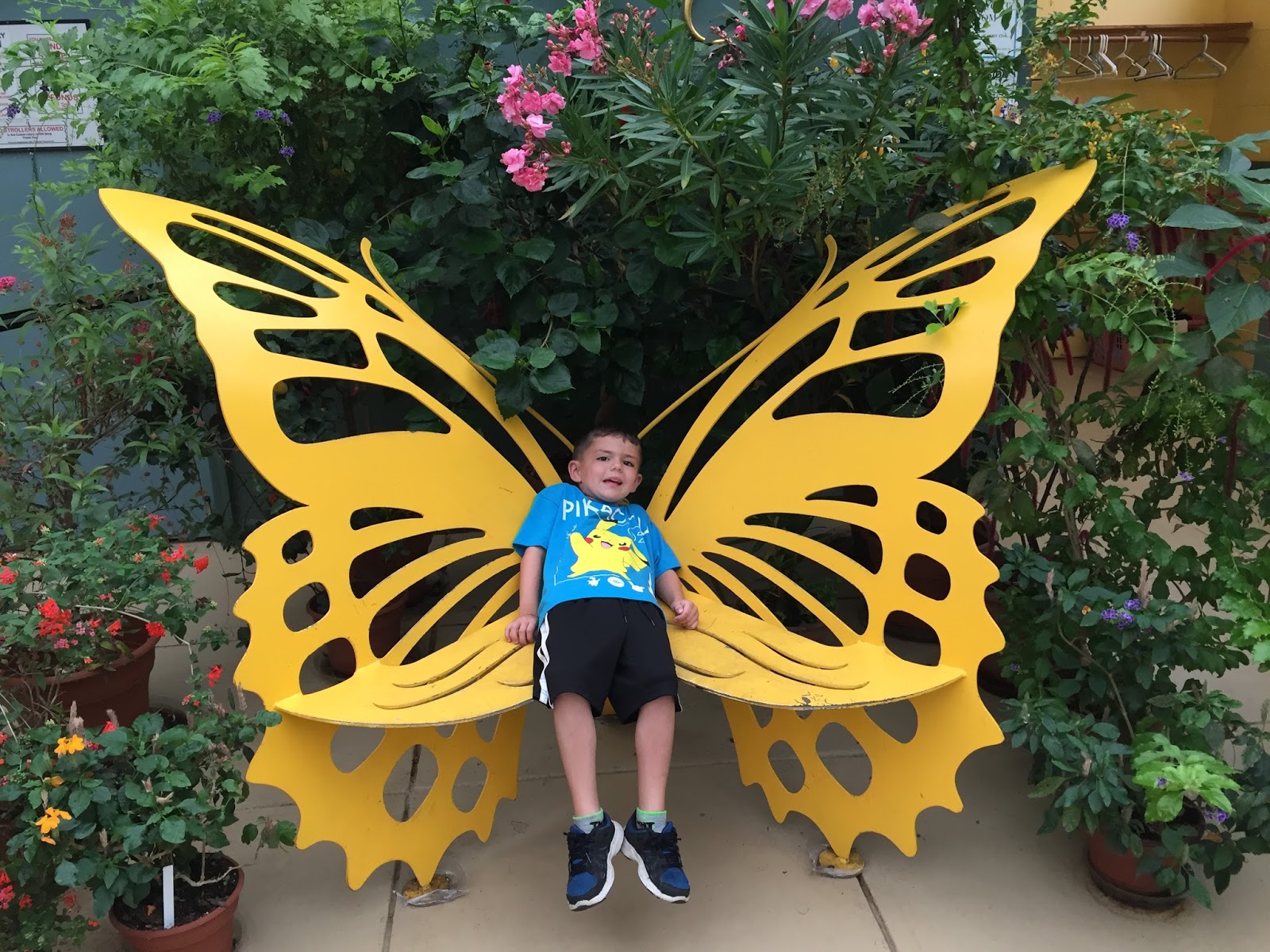 The Newman Family Deerfield Butterfly Conservatory
