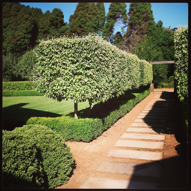 the lime walk The Lime Walk Before and After