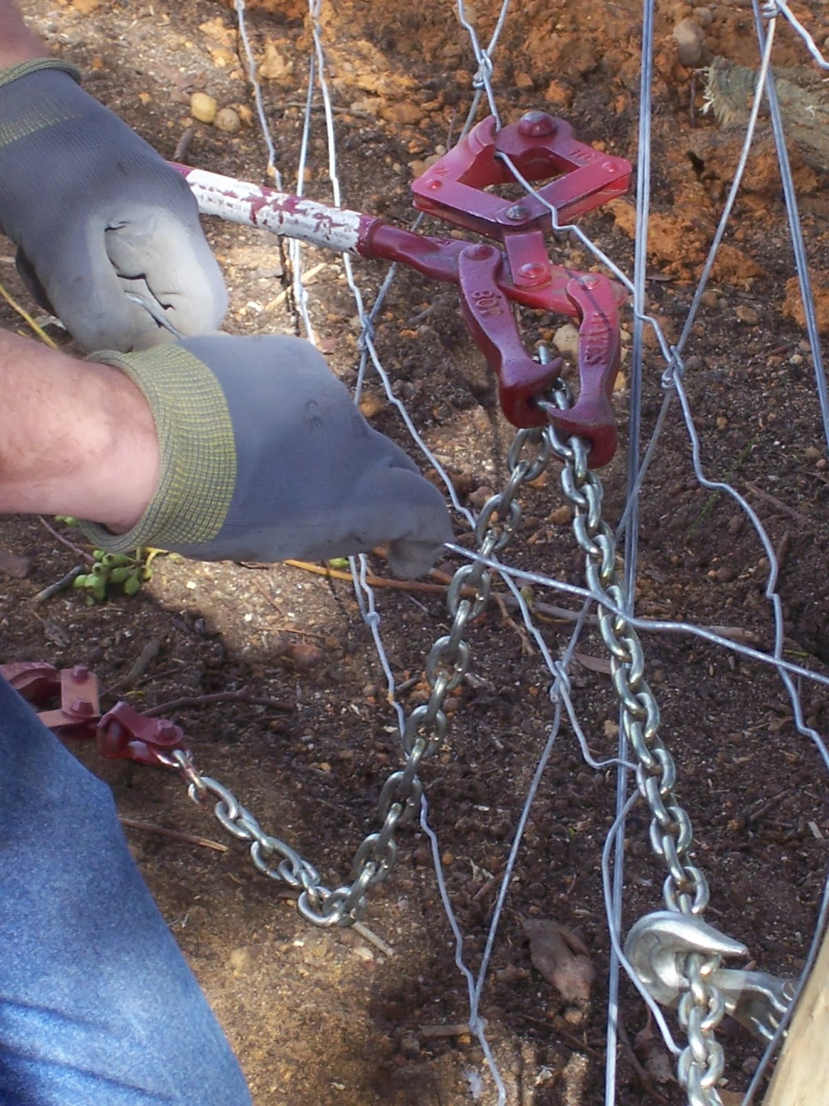 Pretending to Farm: Building a Fox Proof Chicken Coop