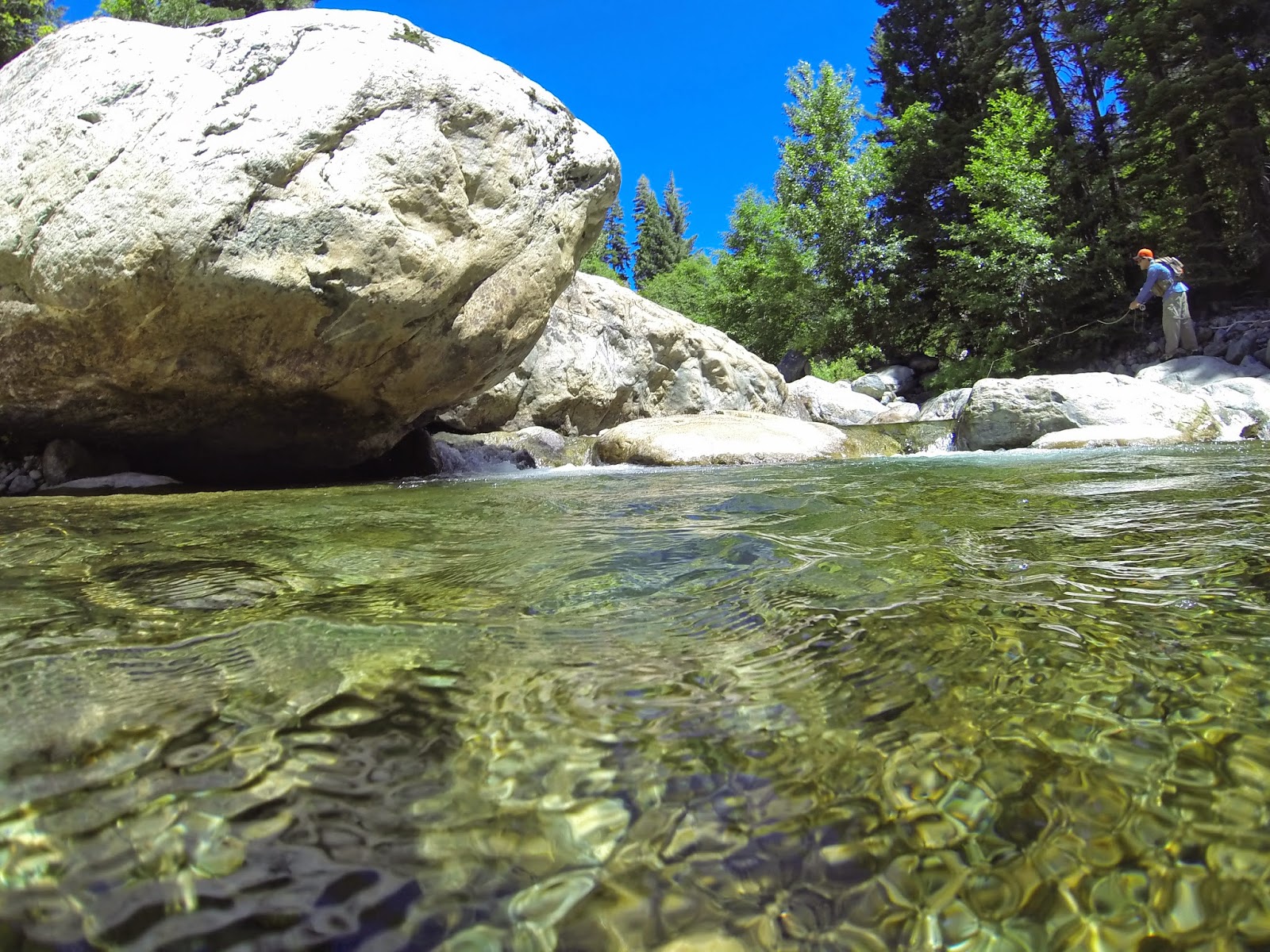 Jon Baiocchi Fly Fishing News North Fork Yuba River Fishing Report 7/8/14