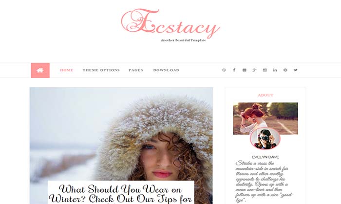 Ecstacy-Blogger-Template