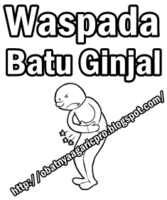 Obat Batu Ginjal Yang Akan Menghancurkannya Hingga Lenyap Obat Batu Ginjal Yang Akan Menghancurkannya Hingga Lenyap