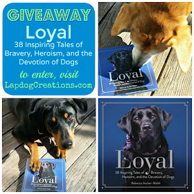 Loyal book review giveaway 3 rescued dogs