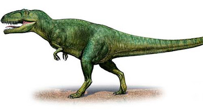 Jenis-Jenis Dinosaurus Giganotosaurus Carolinii