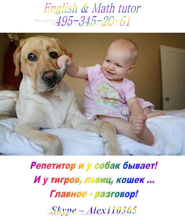 Дистанционное образование. Услуги репетитора английского языка и ...