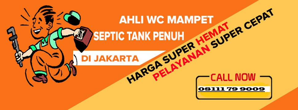 Sedot Wc Jakarta Selatan Dengan Alat Canggih Dan Modern Tlp 08111 84 9009
