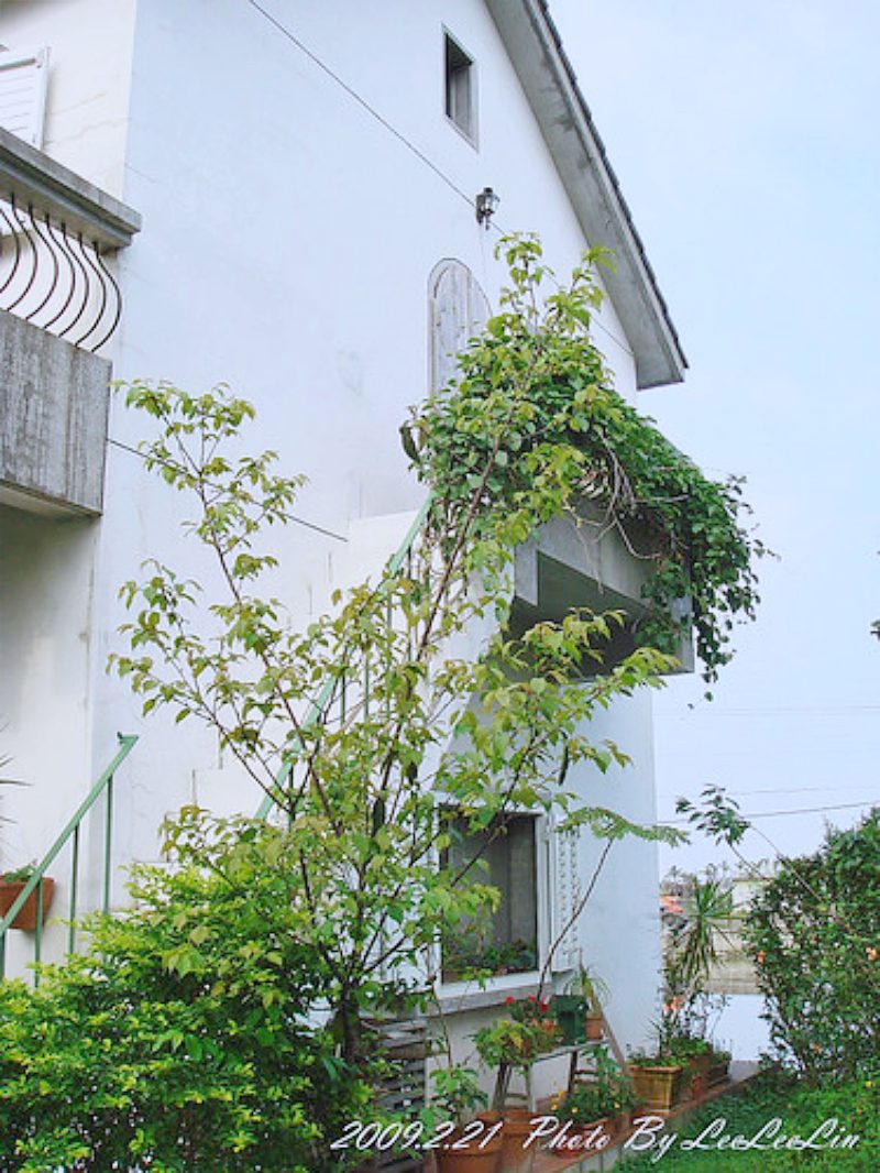 飛鳥小屋民宿|命中注定我愛你偶像劇|陳欣怡薑母島的家