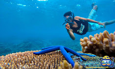 menikmati kehidupan bawah air di wisata pulau harapan underwater wisata pulau harapan