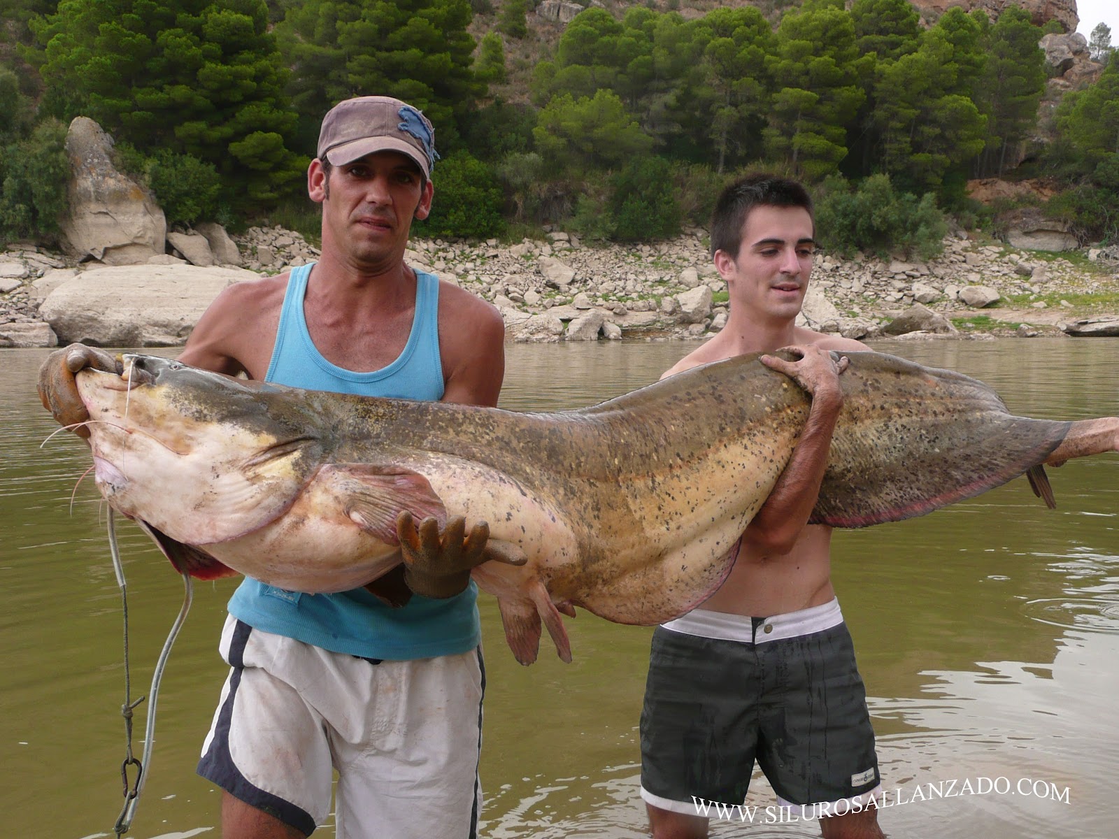 PESCA CON GUÍA DEL SILURO AL LANCE Y PELLETS EN MEQUINENZA Y RÍO EBRO
