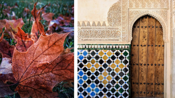 Google Pixel 2 ve Pixel 2 XL ile Çekilen Fotoğraflar - 9 Google Pixel 2 ve Pixel 2 XL ile Çekilen Fotoğraflar - 9