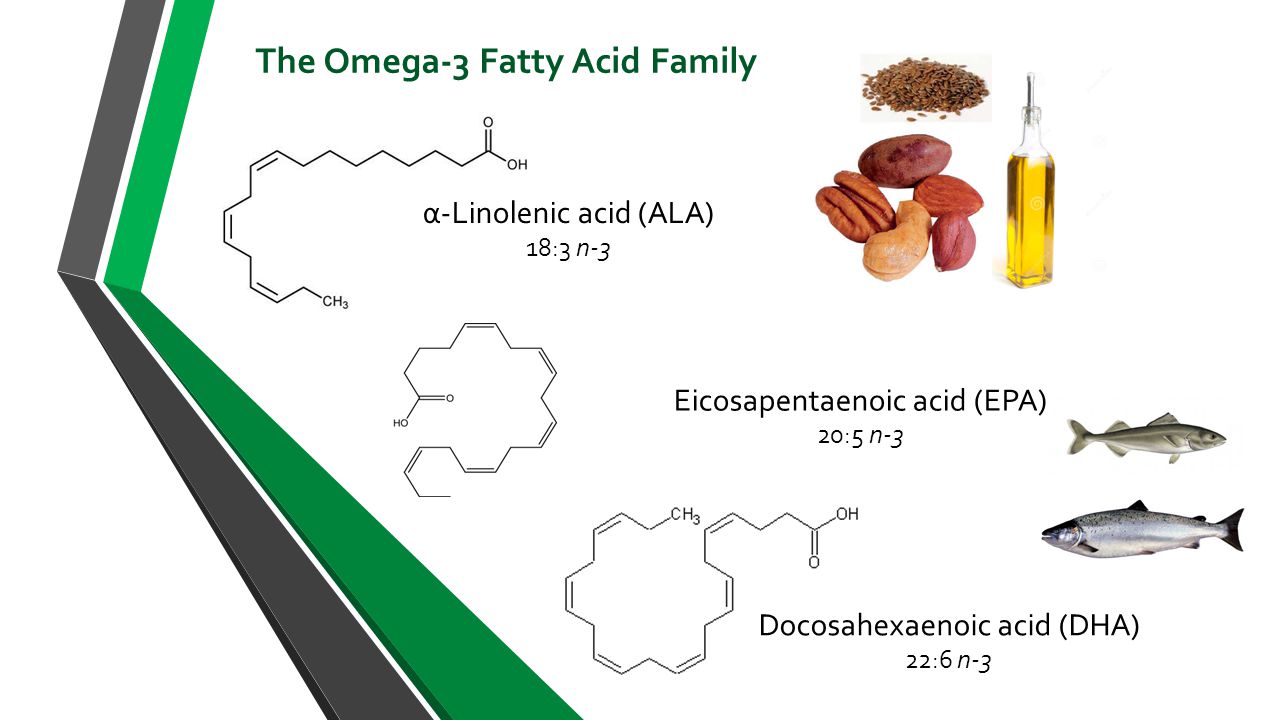 Apa Beza Antara DHA dan EPA Kepentingannya Untuk Semua Golongan Usia