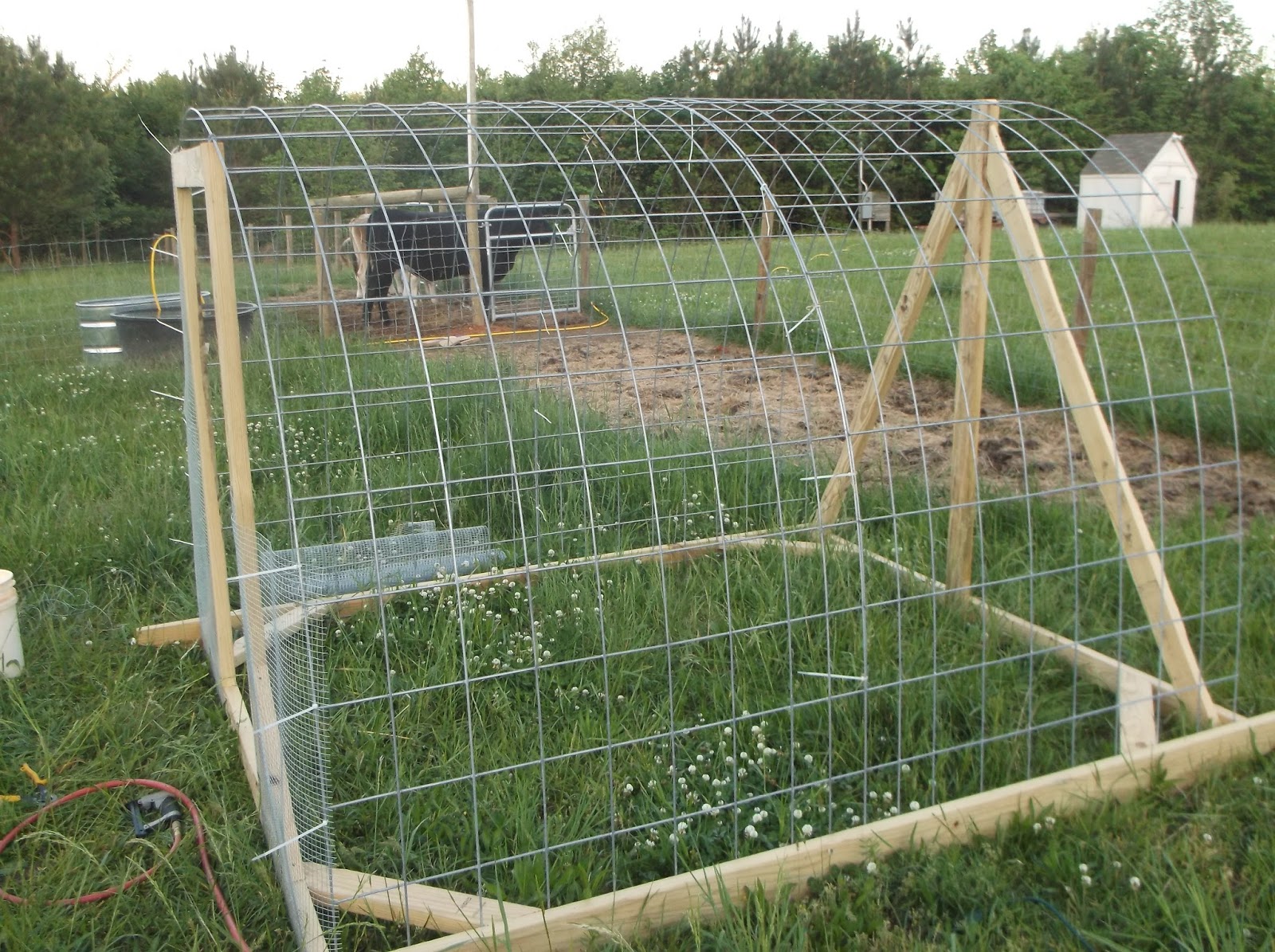 Powell Acres Farm Chicken Equipment