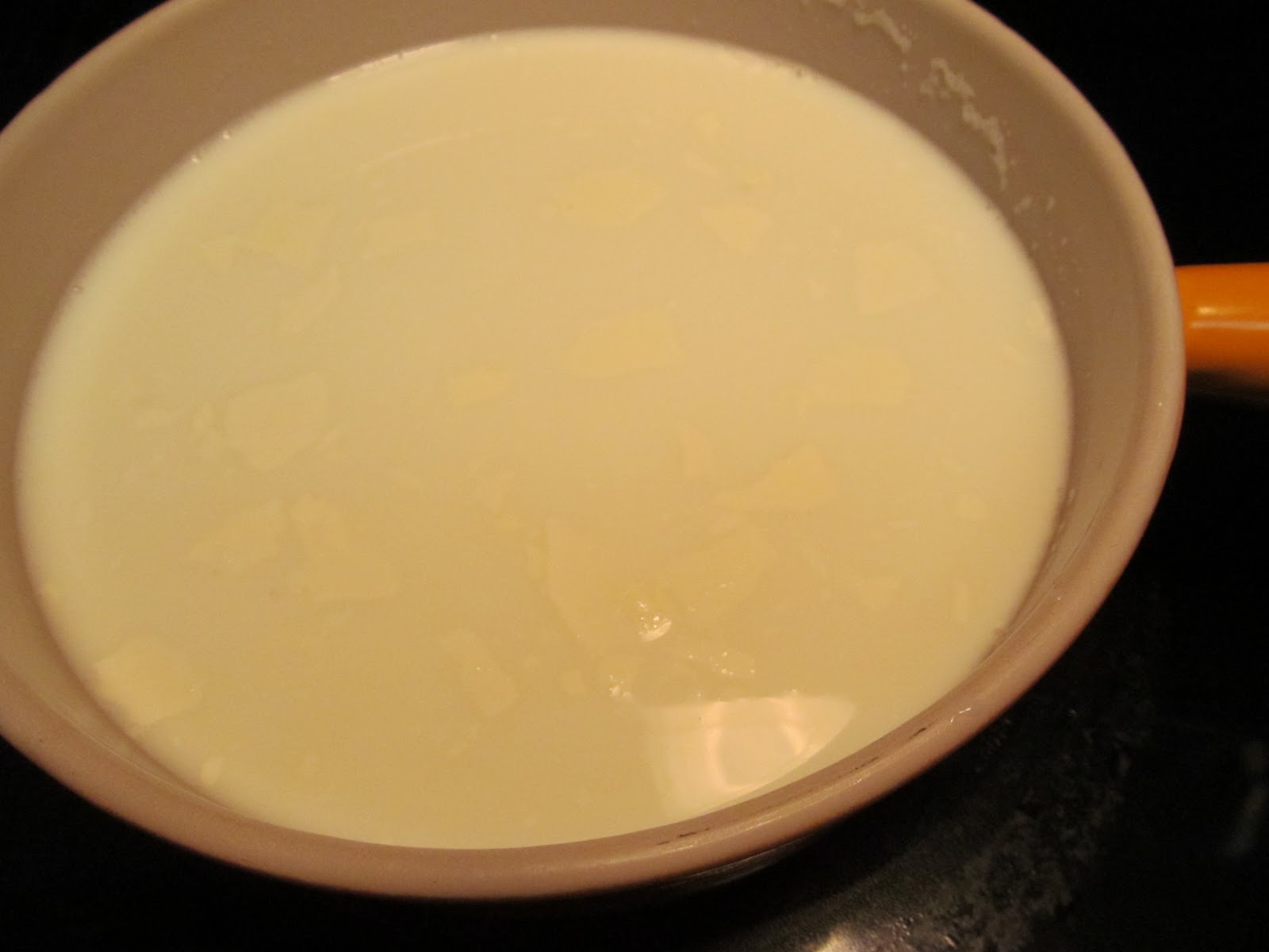 Cooking in the Florida Heat: Homemade Yogurt
