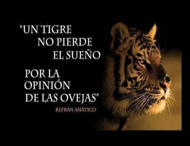 mensaje de motivacion mensaje de motivacion