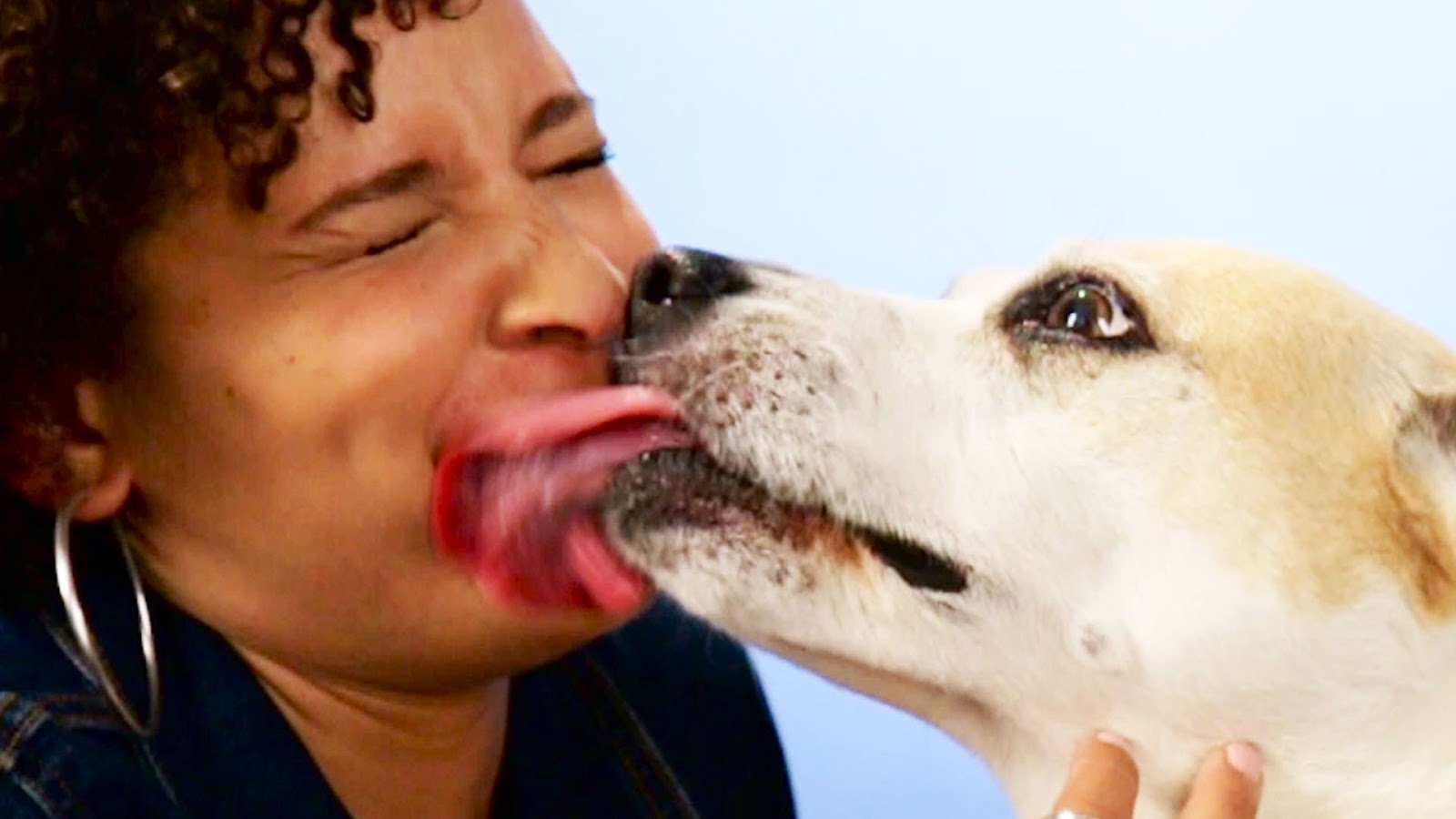 Lick movies. Порода собак для куни. Gross Dog Kisses. Девушка зажимает рот собаке. Dog licking Lips.