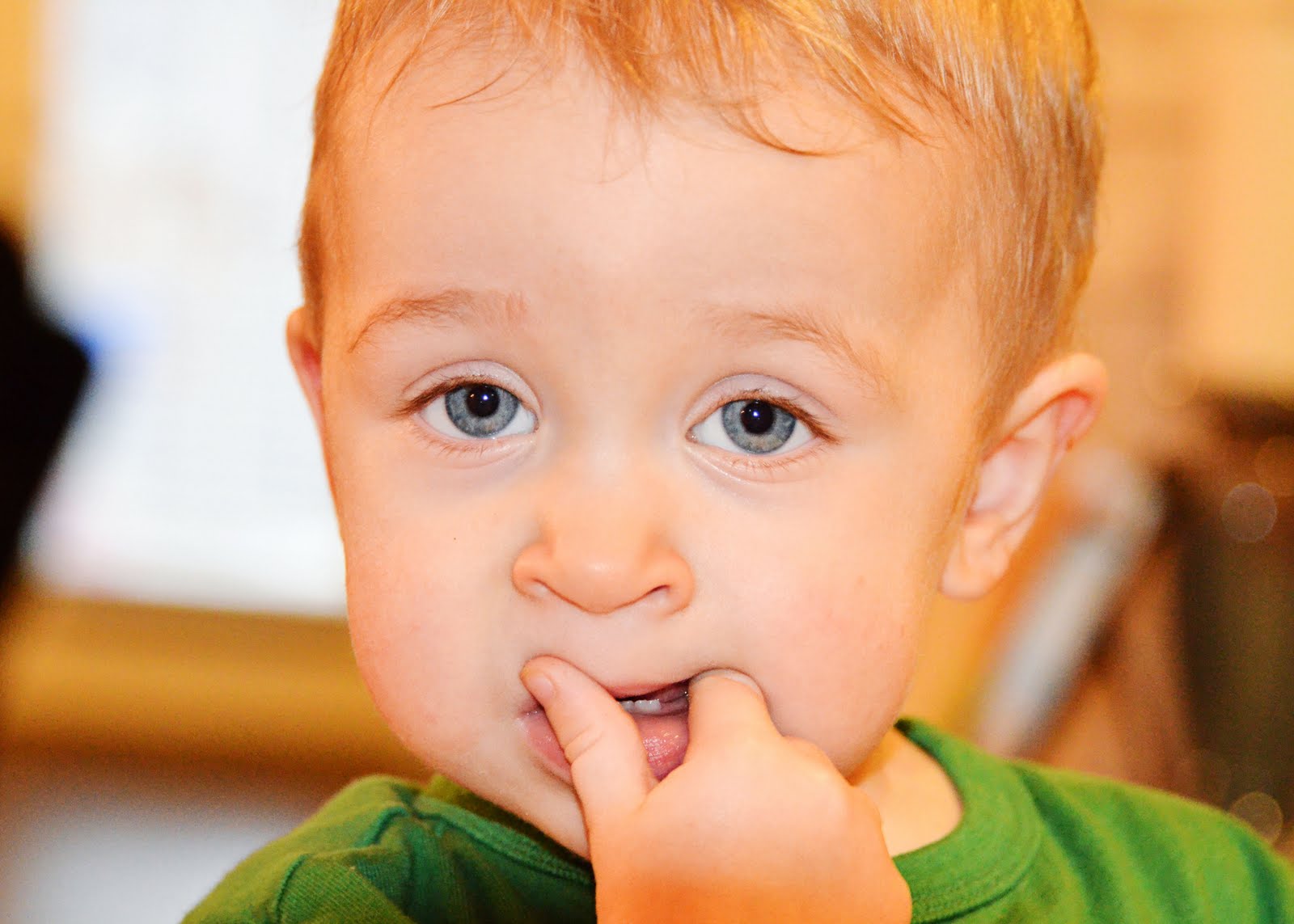 Natural Orajel For Babies Reviews Natural Orajel For Babies Reviews