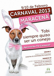 Carnaval de Maracena 2013