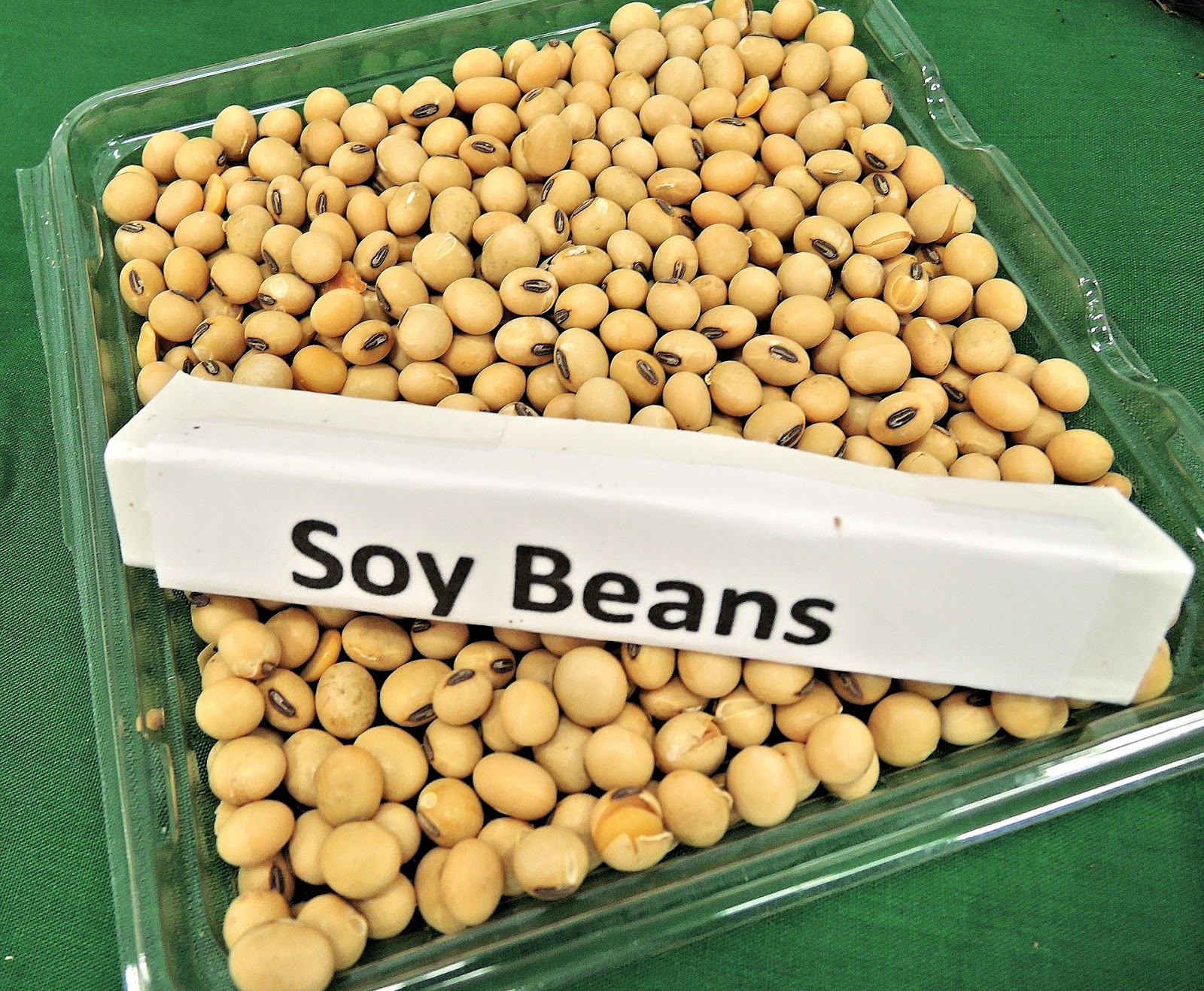 What is soy 82 What is soy 66