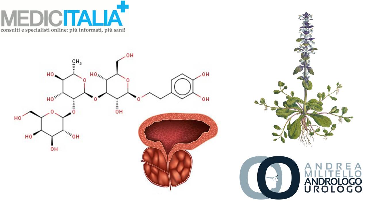 liquido prostatico pene urina medicitalia liquido prostatico pene urina medicitalia