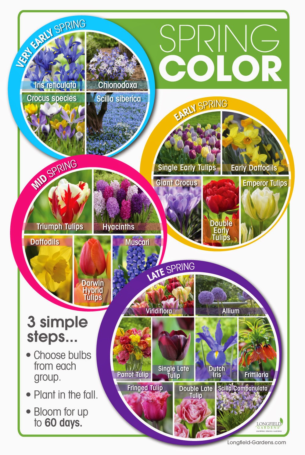 Coupon Savvy Sarah Longfield Gardens Bulb Review and Fall Planting