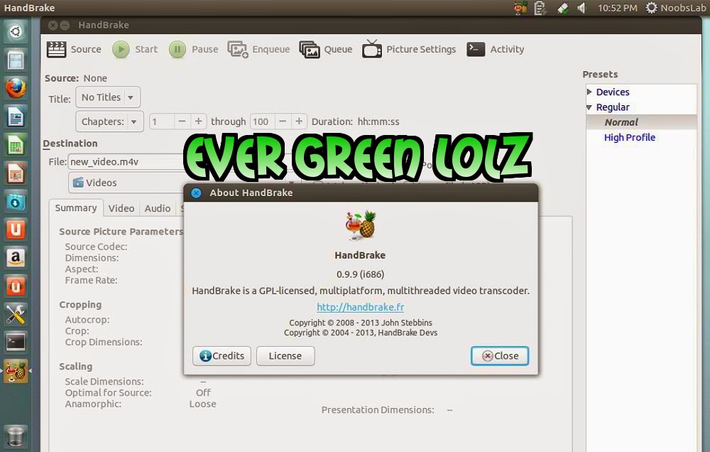 Download Ever Green Stuff