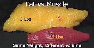 Fat vs. Muscle Same weight of fat and muscle, different volume.