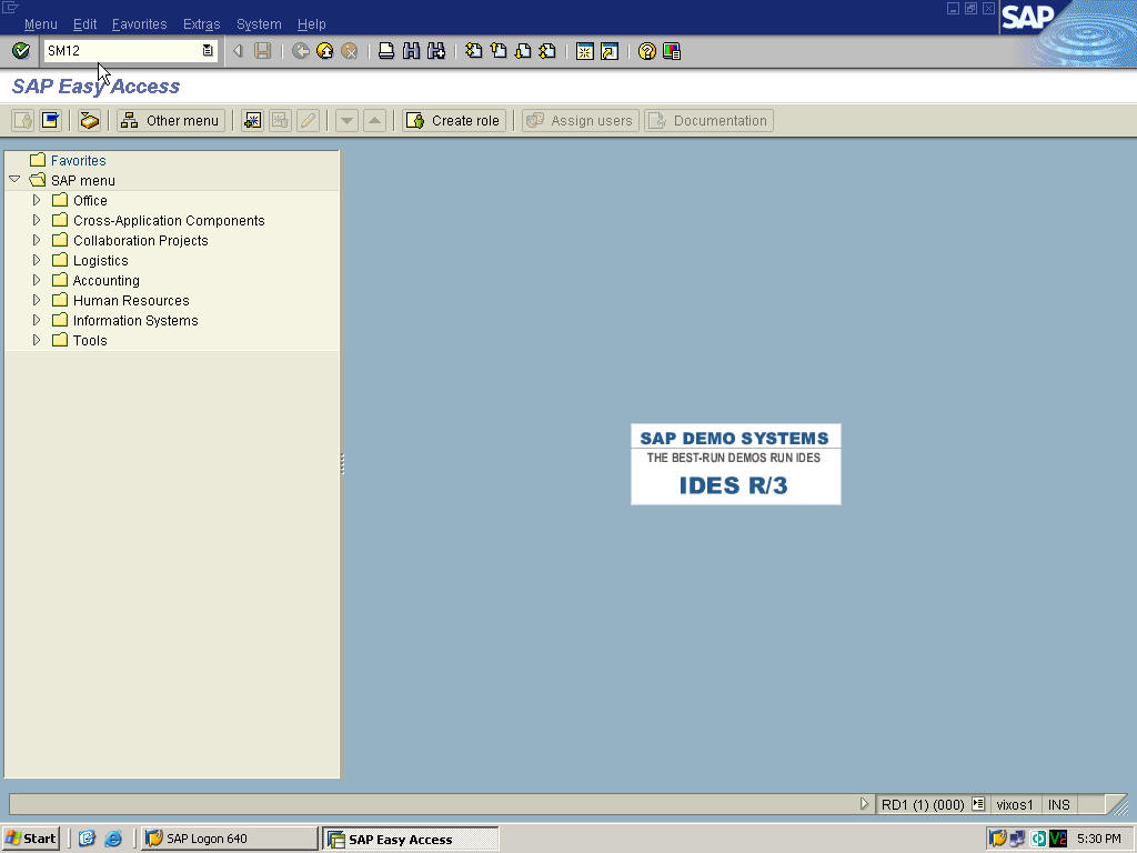 SAP BASIS TECHNICALS SAP LOCK ENTIRES SM12