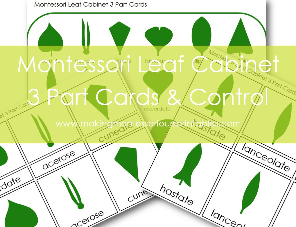 NEW!! Montessori Botany PDF Materials are Available!! "Making
