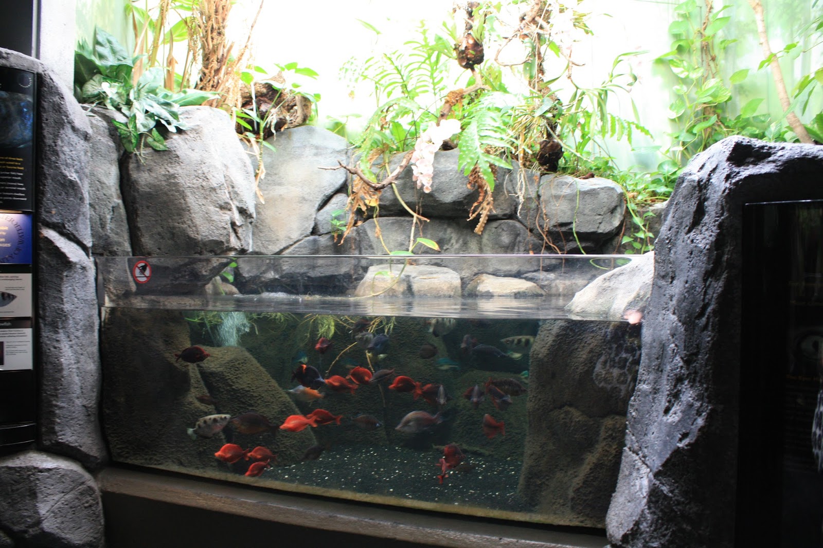 A Little Time and a Keyboard An Afternoon With the Animals of the Pittsburgh Zoo and PPG Aquarium