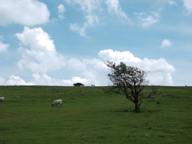 Dartmoor National Park Dartmoor National Park