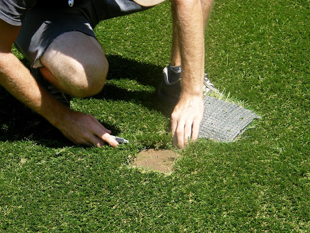 turf is cut around stepping stones.