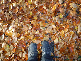 autumn leaves with feet in walking boots