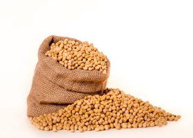 Picture of soybeans. Picture of soybeans.