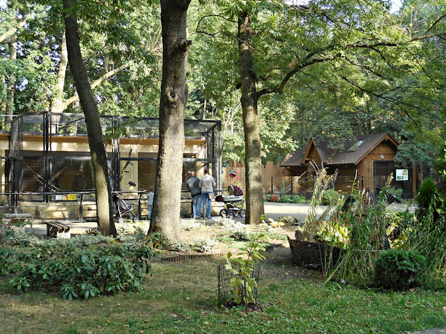 zwiedzanie zoo, Nowy Tomyśl, zwierzęta, rośliny