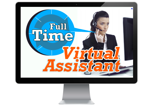Virtual Executive Assistant