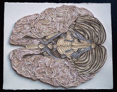 Miss B's Science Blog: Science Art - Quilled Anatomy