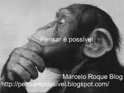Marcelo Roque, Blog Novo