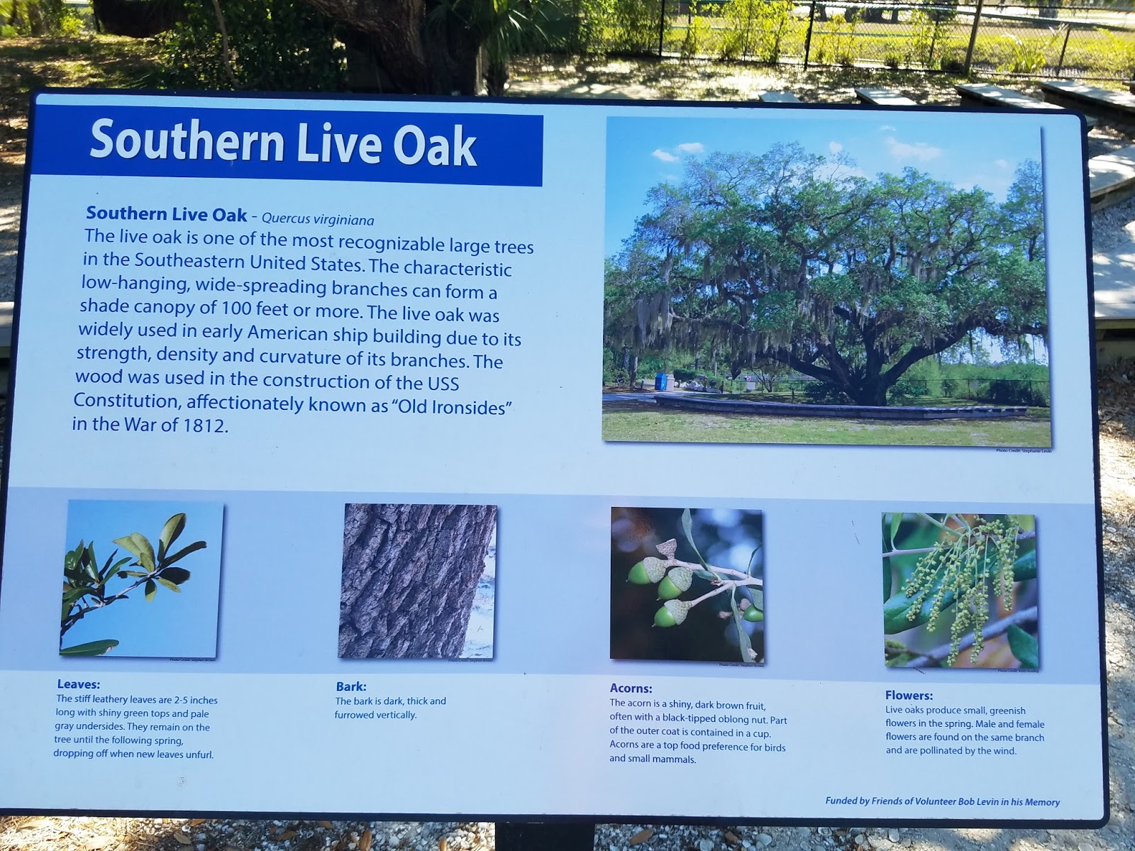 The Frostburg New Day: The Calming Gentle Giants – Manatee Park in Lee
