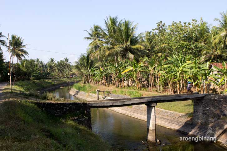 bendung bedegolan kebumen