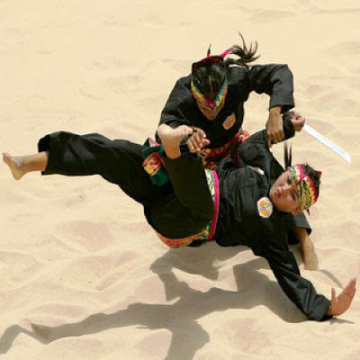 Berikut ini Foto-foto Pesilat Wanita Cantik di Indonesia | Forum SH