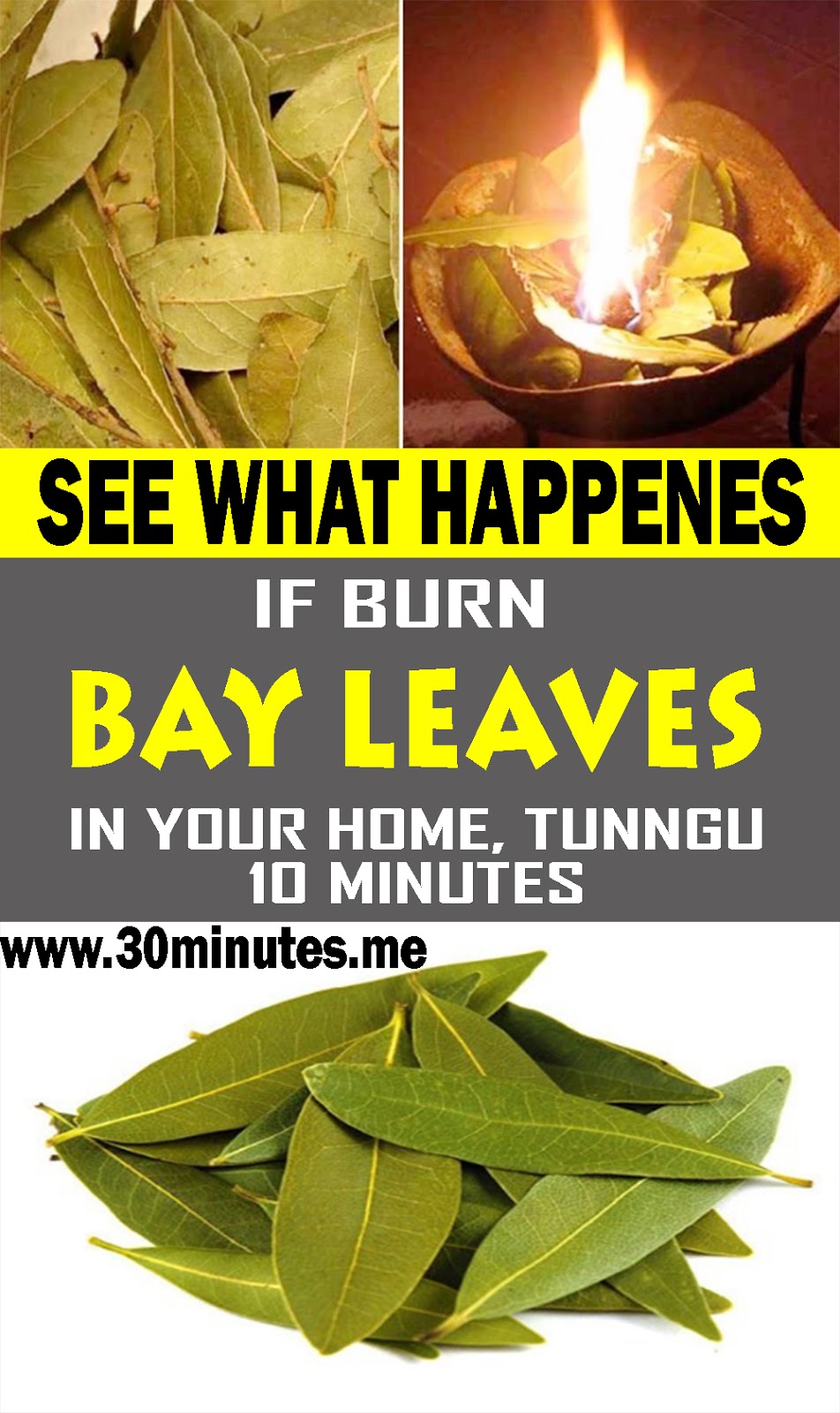 Burn Bay Leaves in Your House, Wait 10 Minutes, and See What Happens HEALTH and WELLNESS