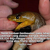Ramai Yang Tak Tahu Kewujudan Tabung Bantuan Mangsa Serangan Binatang Buas