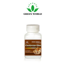 Khasiat Cordyceps Plus Capsule