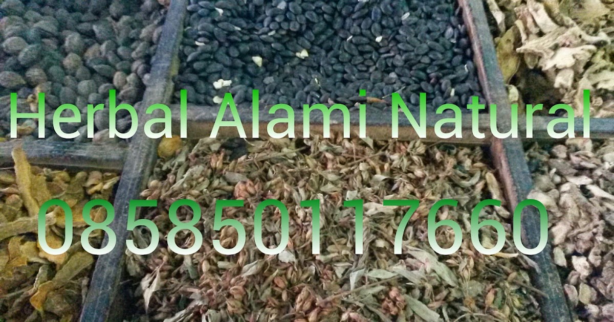 jual segala macam macam herbal atau jamu jamuan shop segala macam herbal rajang kering jual segala macam macam herbal atau jamu jamuan shop segala macam herbal rajang kering